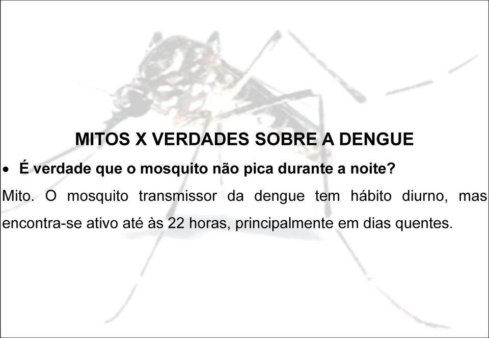 O mosquito transmissor da dengue tem hábito