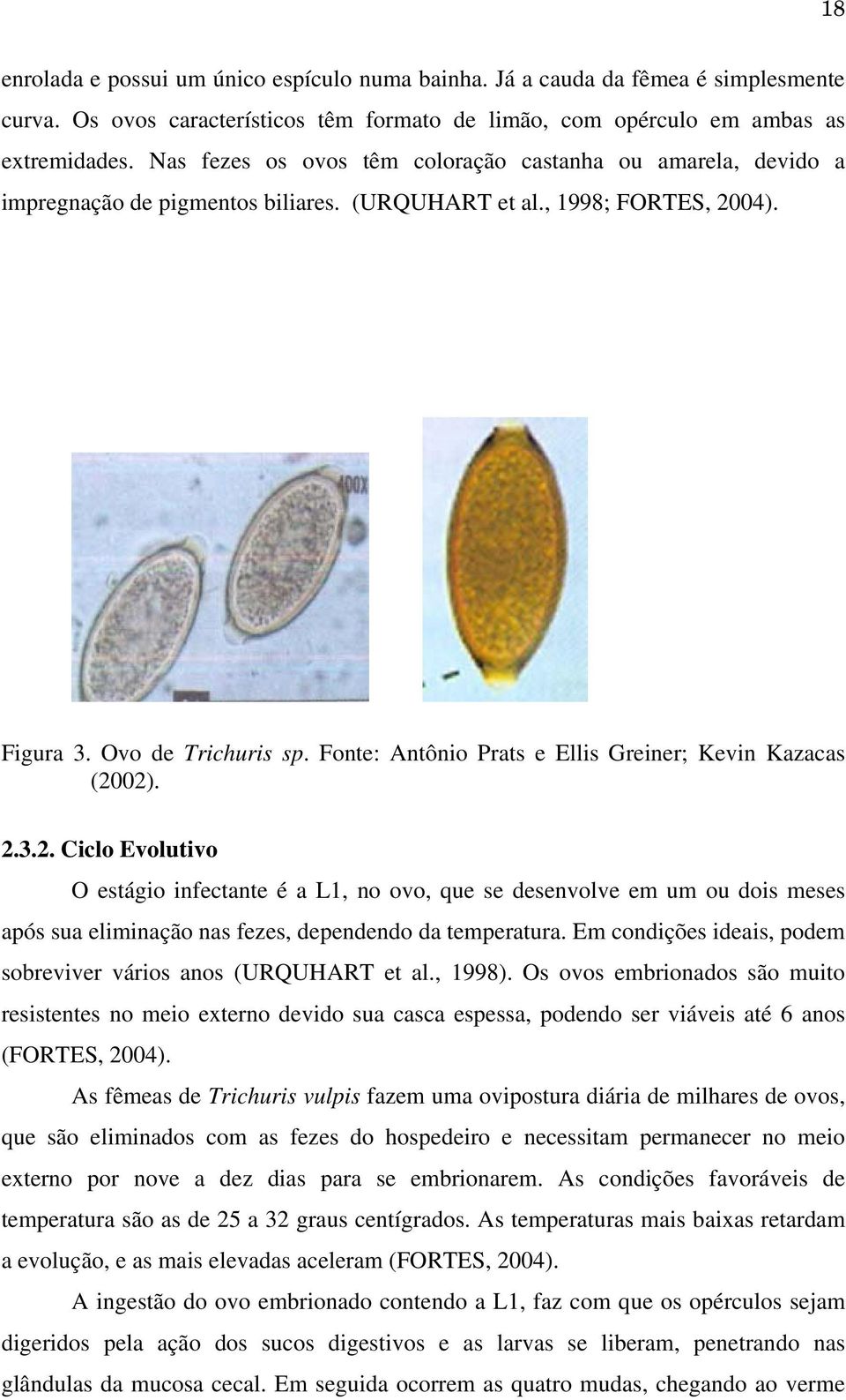 Fonte: Antônio Prats e Ellis Greiner; Kevin Kazacas (20