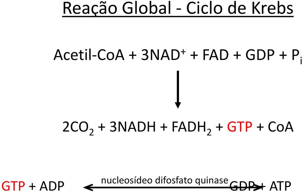 2CO 2 + 3NADH + FADH 2 + GTP + CoA GTP