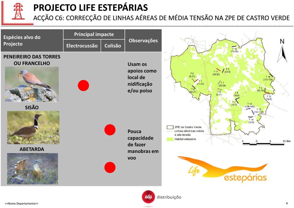 impacte Electrocussão Colisão Observações Usam os apoios como local de nidificação