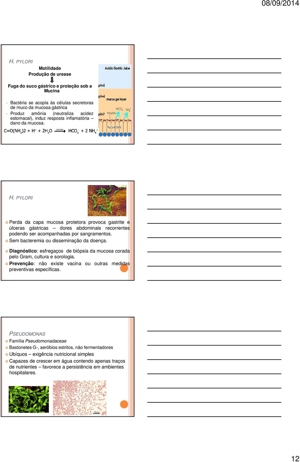 Sem bacteremia ou disseminação da doença. Diagnóstico: esfregaços de biópsia da mucosa corada pelo Gram, cultura e sorologia. Prevenção: não existe vacina ou outras medidas preventivas específicas.