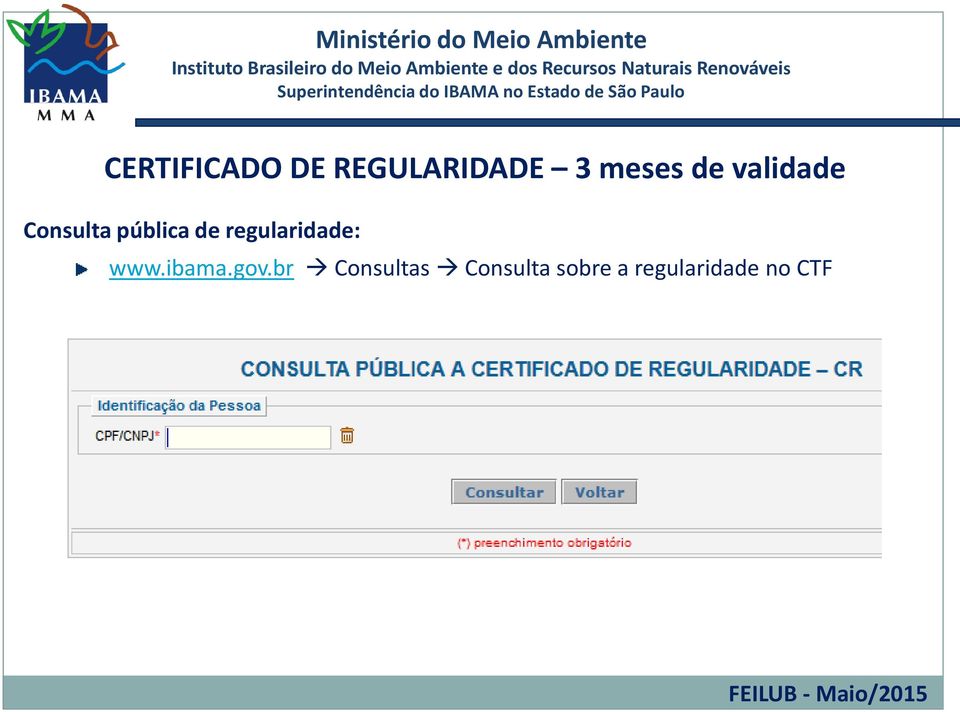 regularidade: www.ibama.gov.