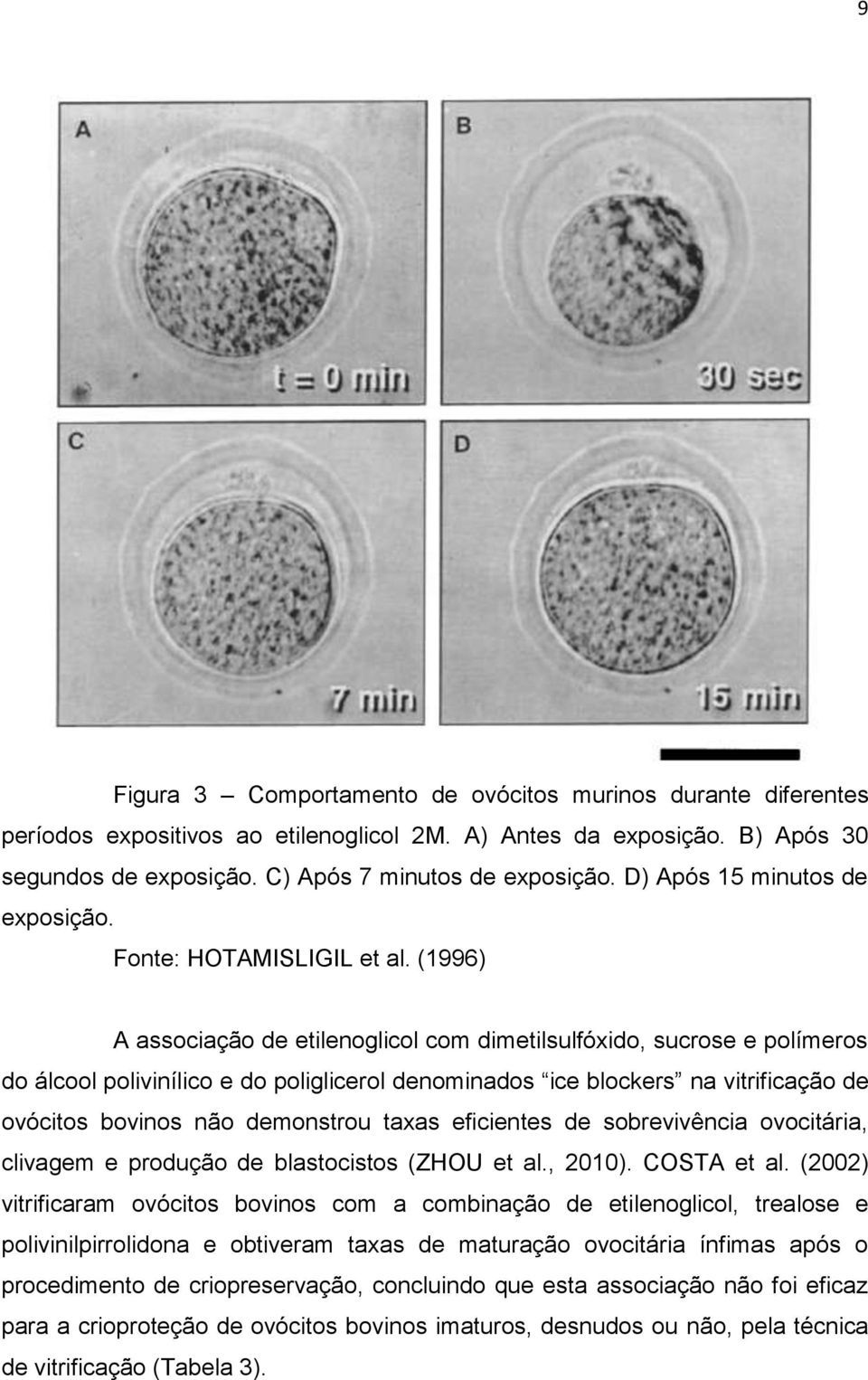 (1996) A associação de etilenoglicol com dimetilsulfóxido, sucrose e polímeros do álcool polivinílico e do poliglicerol denominados ice blockers na vitrificação de ovócitos bovinos não demonstrou