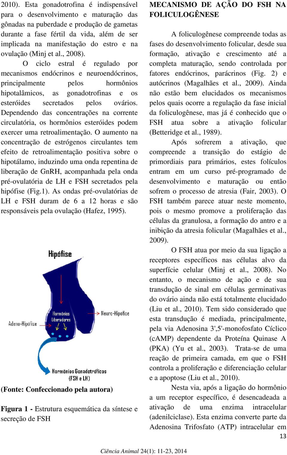 ovulação (Minj et al., 2008).