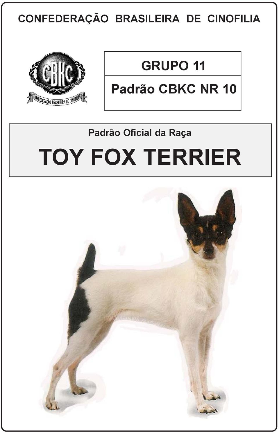 Padrão CBKC NR 10 Padrão