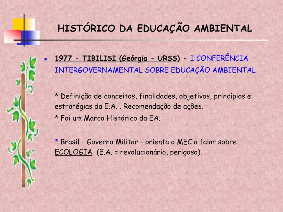 objetivos, princípios e estratégias da E.A.. Recomendação de ações.