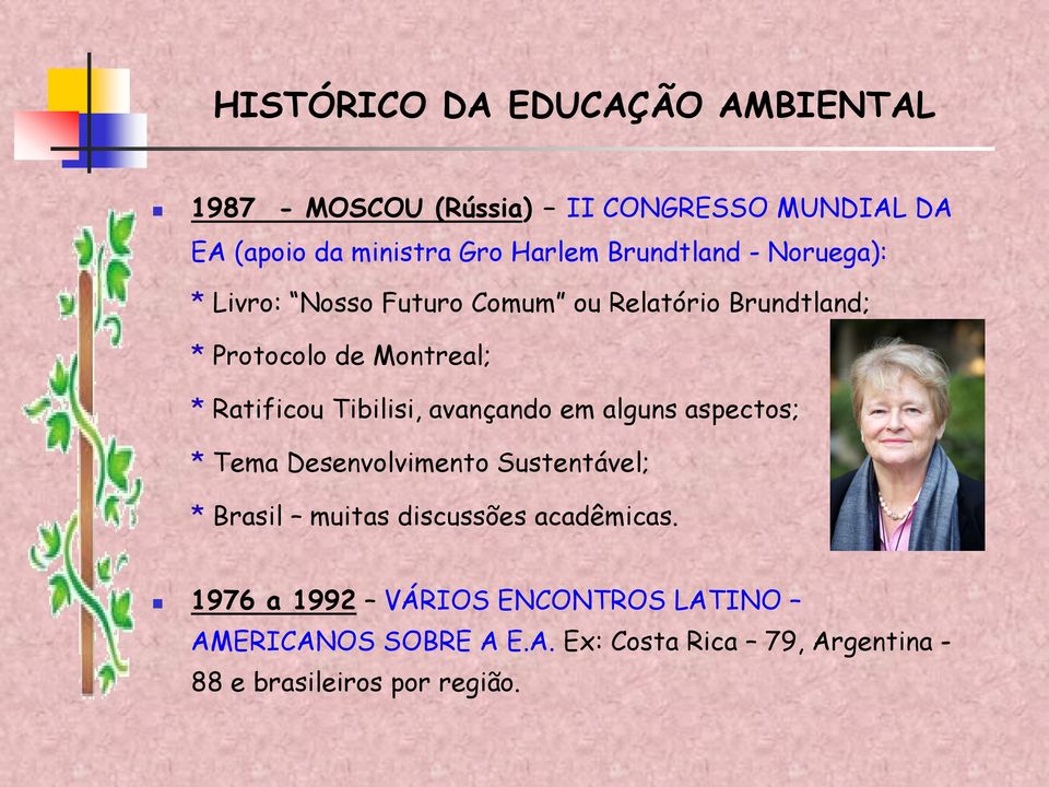 Tibilisi, avançando em alguns aspectos; * Tema Desenvolvimento Sustentável; * Brasil muitas discussões acadêmicas.
