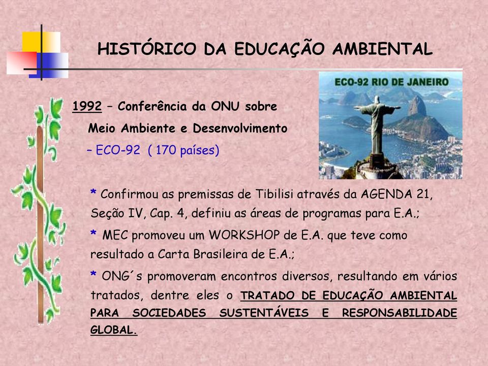 A. que teve como resultado a Carta Brasileira de E.A.; * ONG s promoveram encontros diversos, resultando em vários