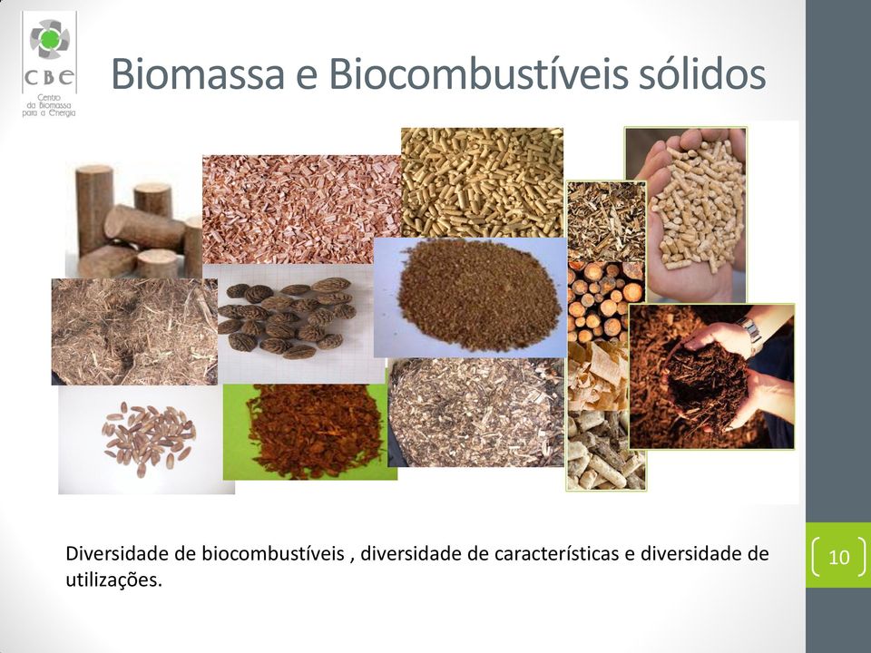 biocombustíveis, diversidade de