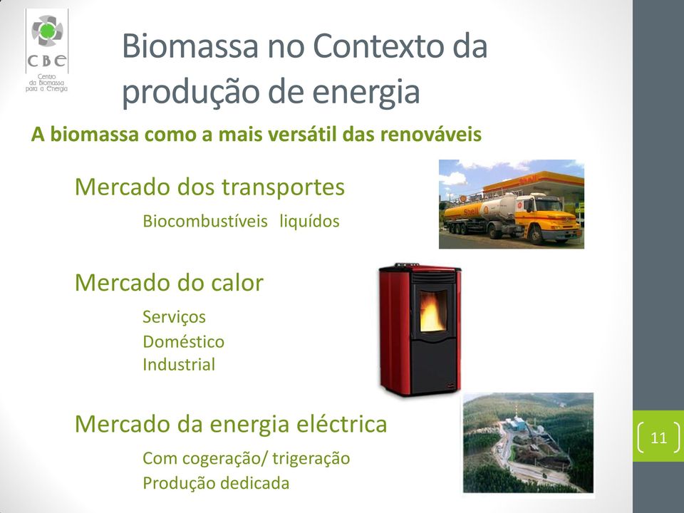 Biocombustíveis liquídos Mercado do calor Serviços Doméstico