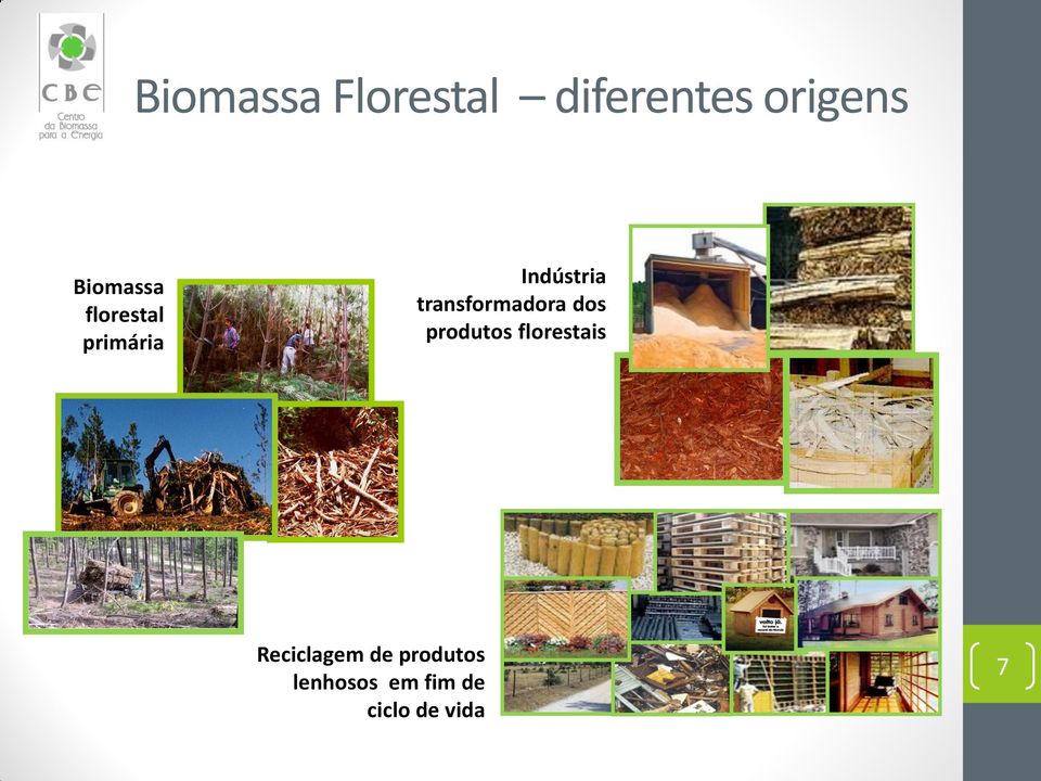 transformadora dos produtos florestais