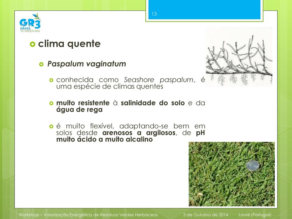 salinidade do solo e da água de rega é muito flexível,