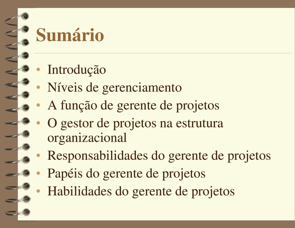 organizacional Responsabilidades do gerente de projetos