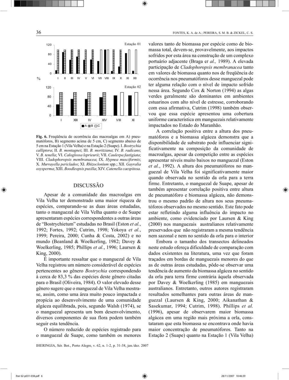 B. moritziana; IV. B. radicans; V. B. tenella; VI. Caloglossa leprieurii; VII. Caulerpa fastigiata; VIII. Cladophoropsis membranacea; IX. Hypnea musciformis; X. Murrayella periclados; XI.