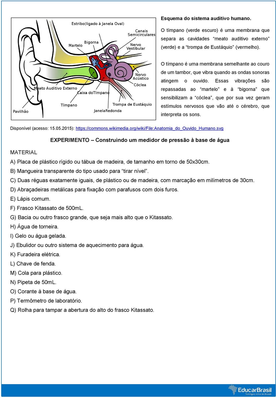 Essas vibrações são repassadas ao martelo e à bigorna que sensibilizam a cóclea, que por sua vez geram estímulos nervosos que vão até o cérebro, que interpreta os sons. Disponível (acesso: 15.05.