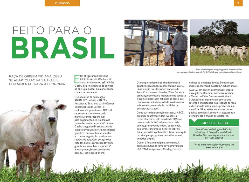 Os dados são da publicação ANUALPEC de 2014 e ABIEC - Associação Brasileira das Indústrias Exportadoras de Carnes - e realmente impressionam.