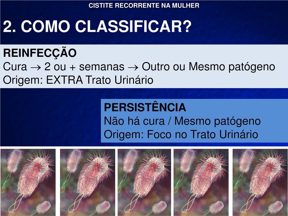 Mesmo patógeno Origem: EXTRA Trato Urinário