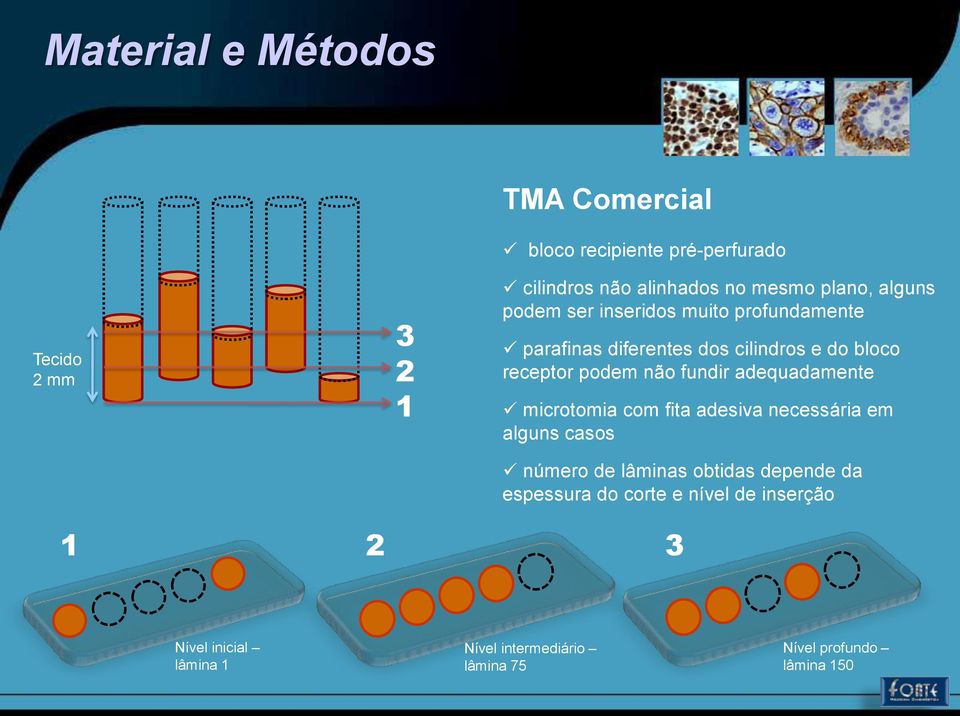 adequadamente microtomia com fita adesiva necessária em alguns casos número de lâminas obtidas depende da