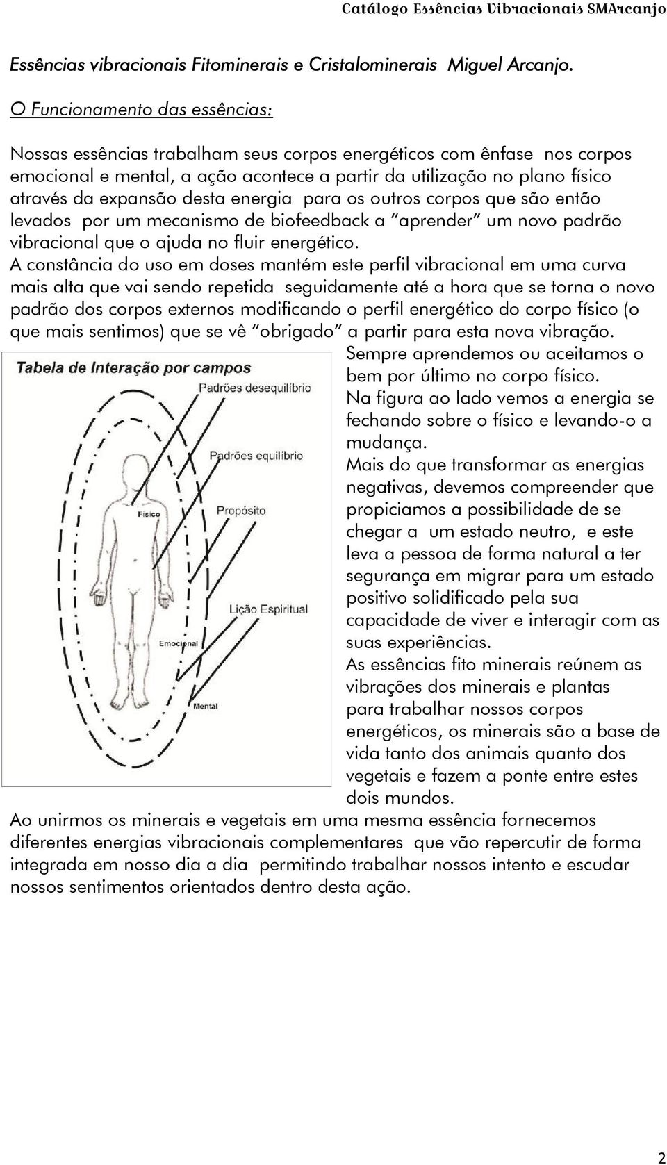 desta energia para os outros corpos que são então levados por um mecanismo de biofeedback a aprender um novo padrão vibracional que o ajuda no fluir energético.