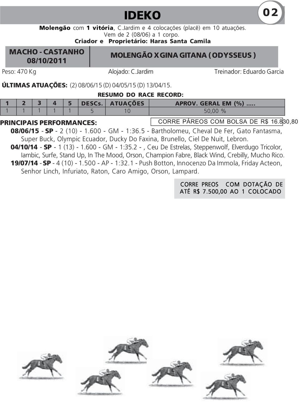Jardim Treinador: Eduardo Garcia ÚLTIMAS ATUAÇÕES: (2) 08/06/15 (D) 04/05/15 (D) 13/04/15. RESUMO DO RACE RECORD: 1 2 3 4 5 DESCs. ATUAÇÕES APROV. GERAL EM (%).