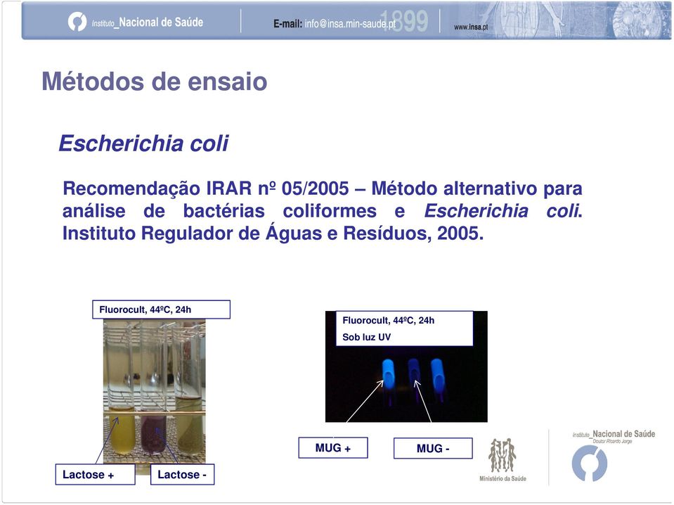 Escherichia coli. Instituto Regulador de Águas e Resíduos, 2005.