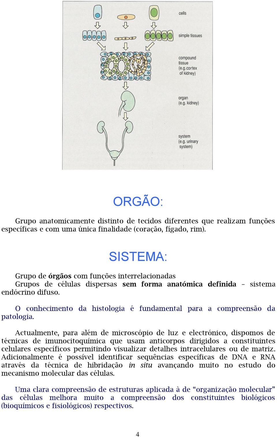 O conhecimento da histologia é fundamental para a compreensão da patologia.