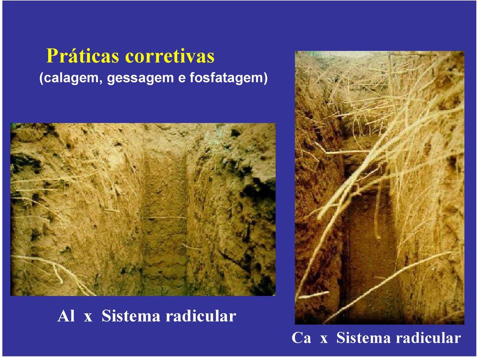 fosfatagem) Al x Sistema