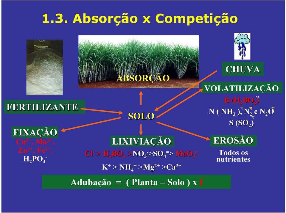 K + > NH 4+ >Mg 2+ >Ca 2+ Adubação = ( Planta Solo ) x f CHUVA