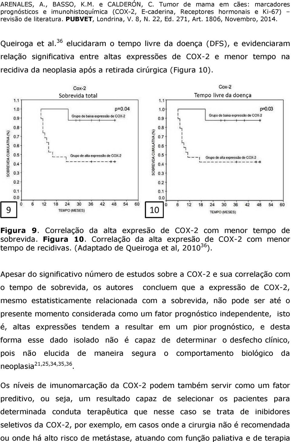 Figura 9. Correlação da alta expresão de COX-2 com menor tempo de sobrevida. Figura 10. Correlação da alta expresão de COX-2 com menor tempo de recidivas. (Adaptado de Queiroga et al, 2010 36 ).
