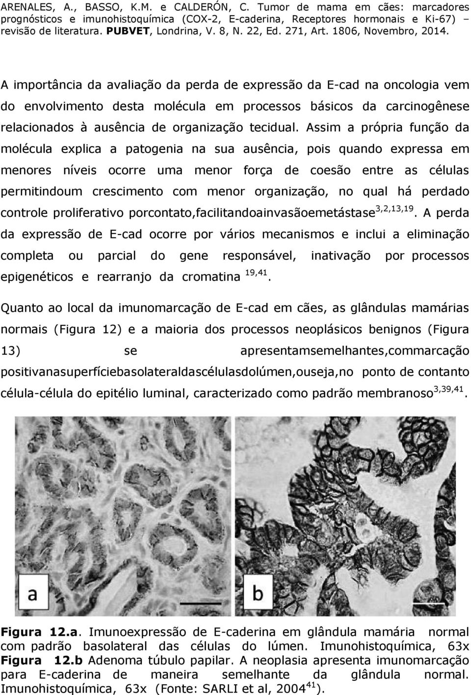 organização, no qual há perdado controle proliferativo porcontato,facilitandoainvasãoemetástase 3,2,13,19.