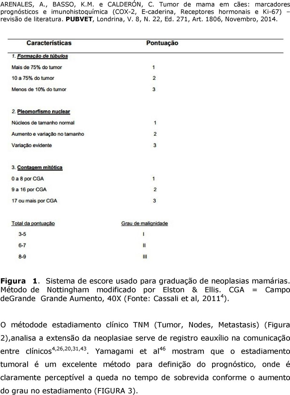 O métodode estadiamento clínico TNM (Tumor, Nodes, Metastasis) (Figura 2),analisa a extensão da neoplasiae serve de registro eauxílio na comunicação