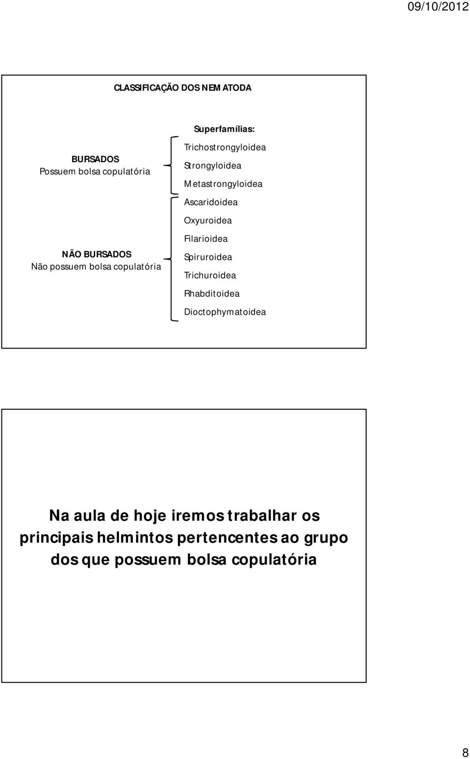 Oxyuroidea Filarioidea Spiruroidea Trichuroidea Rhabditoidea Dioctophymatoidea Na aula de hoje