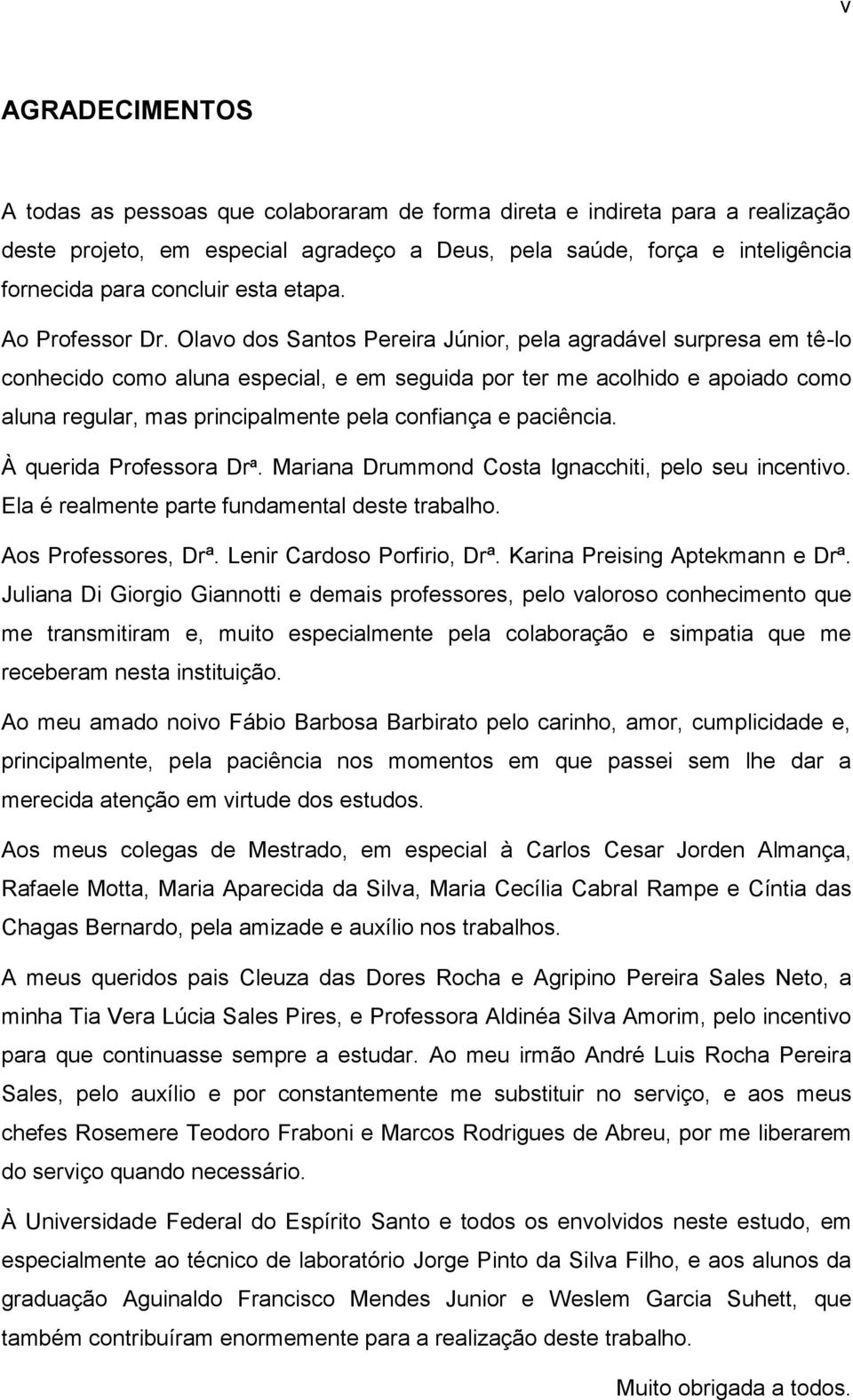 Olavo dos Santos Pereira Júnior, pela agradável surpresa em tê-lo conhecido como aluna especial, e em seguida por ter me acolhido e apoiado como aluna regular, mas principalmente pela confiança e