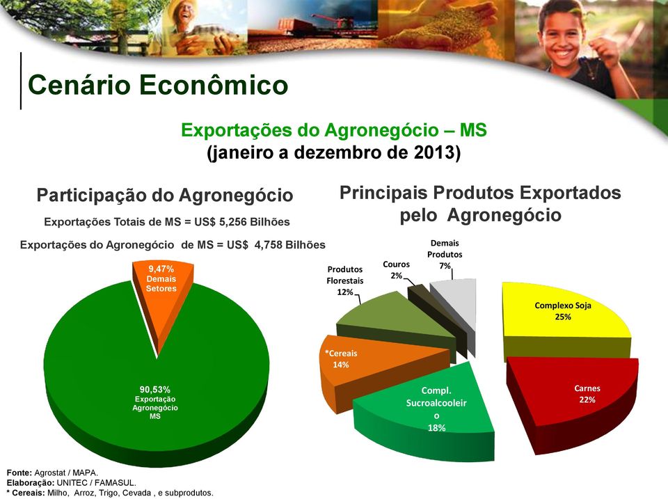 Setores Produtos Florestais 12% Couros 2% Demais Produtos 7% Complexo Soja 25% *Cereais 14% 90,53% Exportação Agronegócio MS Compl.