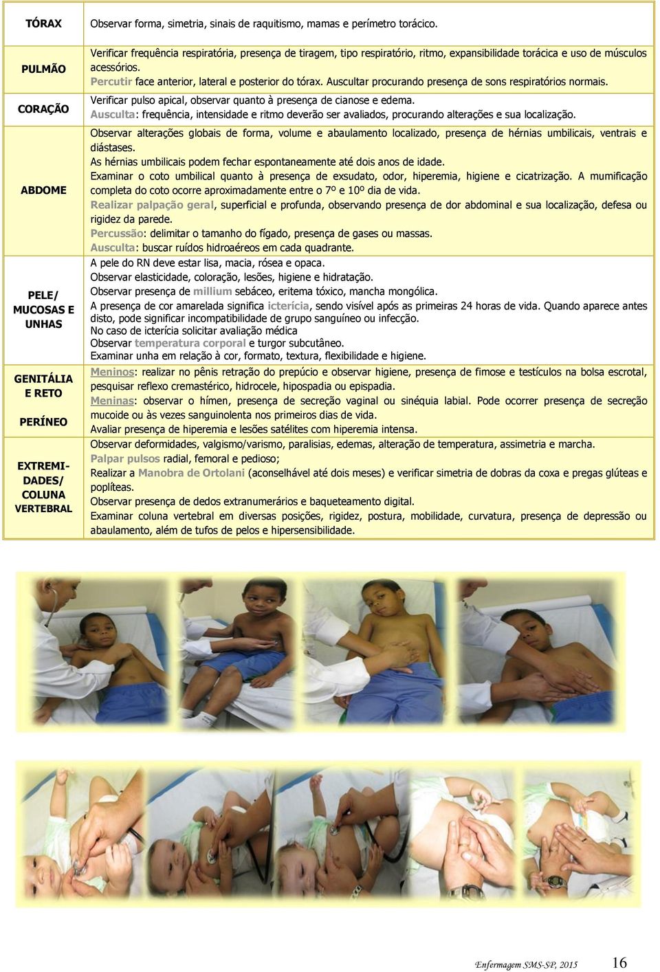 torácica e uso de músculos acessórios. Percutir face anterior, lateral e posterior do tórax. Auscultar procurando presença de sons respiratórios normais.