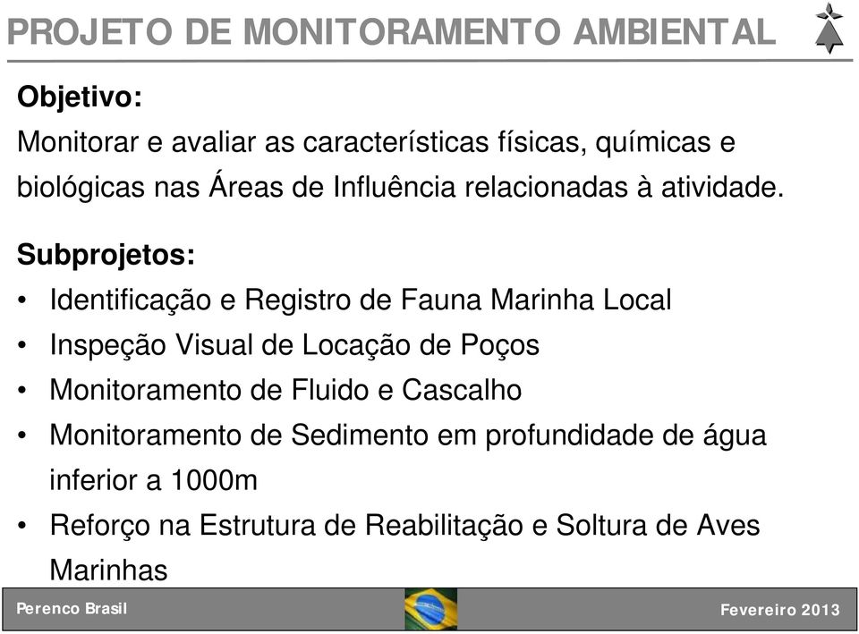 Subprojetos: Identificação e Registro de Fauna Marinha Local Inspeção Visual de Locação de Poços