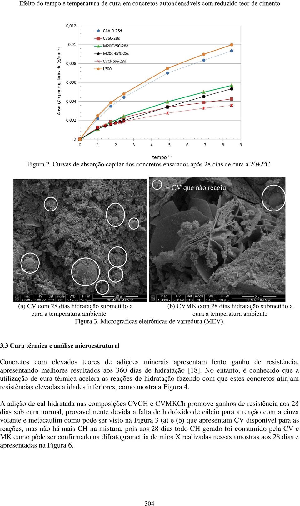 Micrograficas eletrônicas de varredura (MEV). 3.