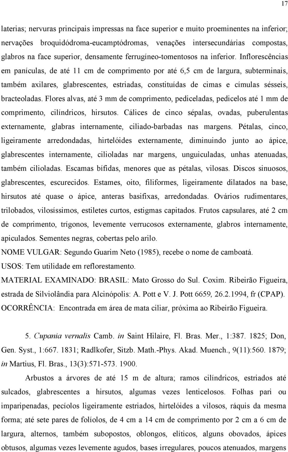 Inflorescências em panículas, de até 11 cm de comprimento por até 6,5 cm de largura, subterminais, também axilares, glabrescentes, estriadas, constituídas de cimas e címulas sésseis, bracteoladas.