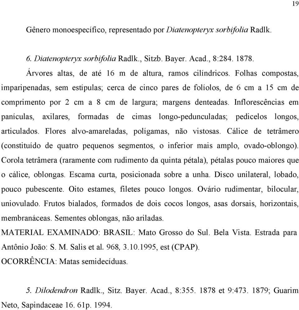 Folhas compostas, imparipenadas, sem estípulas; cerca de cinco pares de folíolos, de 6 cm a 15 cm de comprimento por 2 cm a 8 cm de largura; margens denteadas.