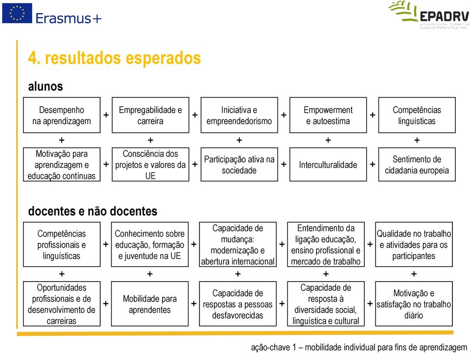 linguísticas Conhecimento sobre educação, formação e juventude na UE Capacidade de mudança: modernização e abertura internacional Entendimento da ligação educação, ensino profissional e mercado de