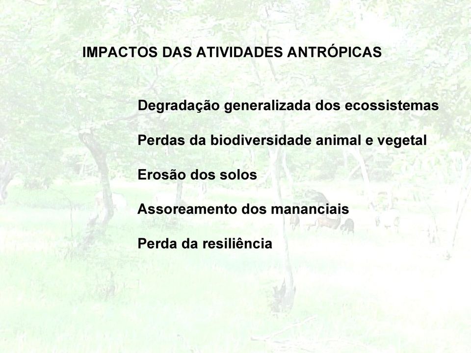 biodiversidade animal e vegetal Erosão dos