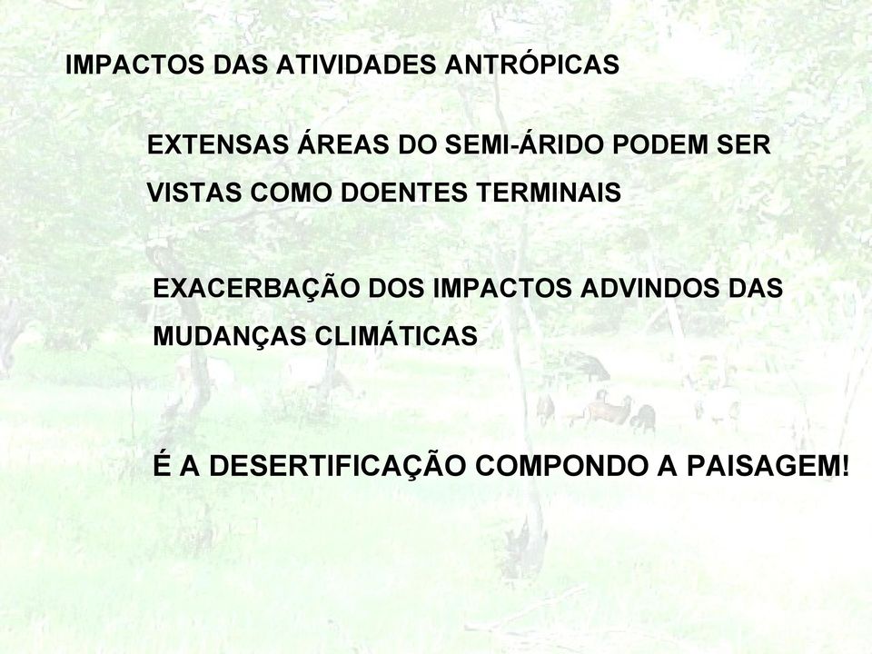 TERMINAIS EXACERBAÇÃO DOS IMPACTOS ADVINDOS DAS