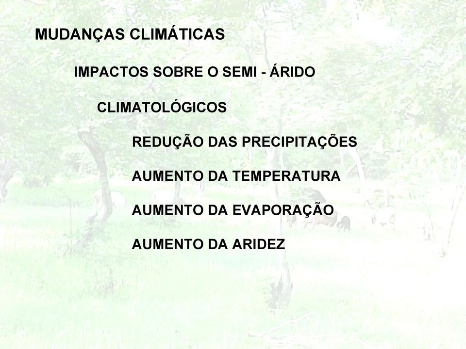 PRECIPITAÇÕES AUMENTO DA