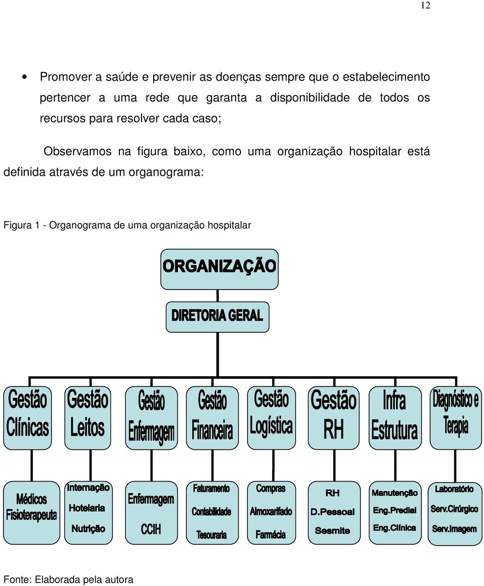 Observamos na figura baixo, como uma organização hospitalar está definida através de um