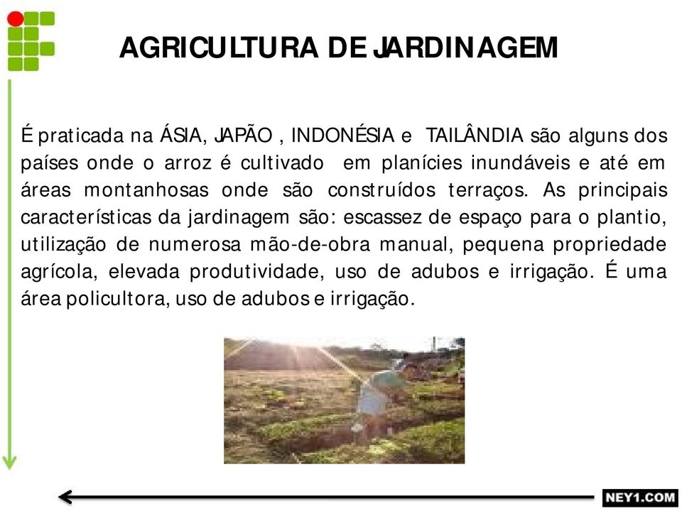 As principais características da jardinagem são: escassez de espaço para o plantio, utilização de numerosa