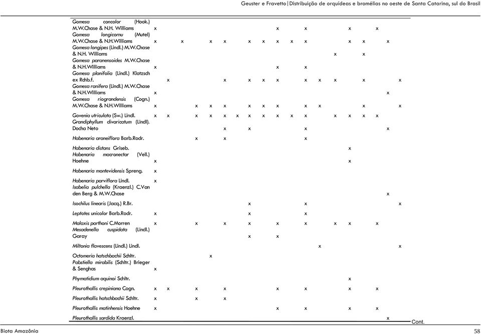 Docha Neto Habenaria araneiflora Barb.Rodr. Habenaria distans Griseb. Habenaria macronectar (Vell.) Hoehne Habenaria montevidensis Spreng. Habenaria parviflora Lindl. Isabelia pulchella (Kraenzl.) C.
