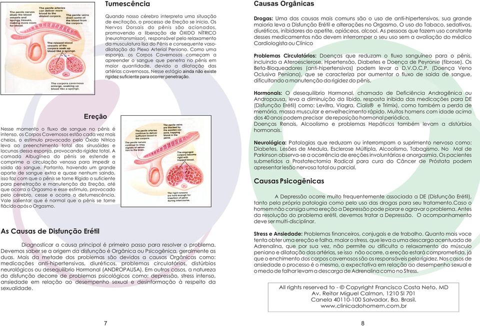 Portanto, havendo um grande aporte de sangue extra e quase nenhum saindo, isso faz com que o pênis se torne Rígido o suficiente para penetração e manutenção da Ereção, até que ocorra o Orgasmo e esse