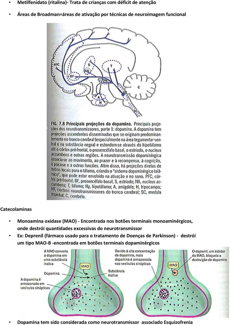 quantidades excessivas do neurotransmissor Ex: Deprenil (fármaco usado para o tratamento de Doenças de Parkinson) - destrói