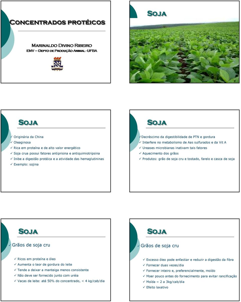 Ureases microbianas inativam tais fatores Aquecimento dos grãos Produtos: grão de soja cru e tostado, farelo e casca de soja Grãos de soja cru Grãos de soja cru Ricos em proteína e óleo Aumenta o