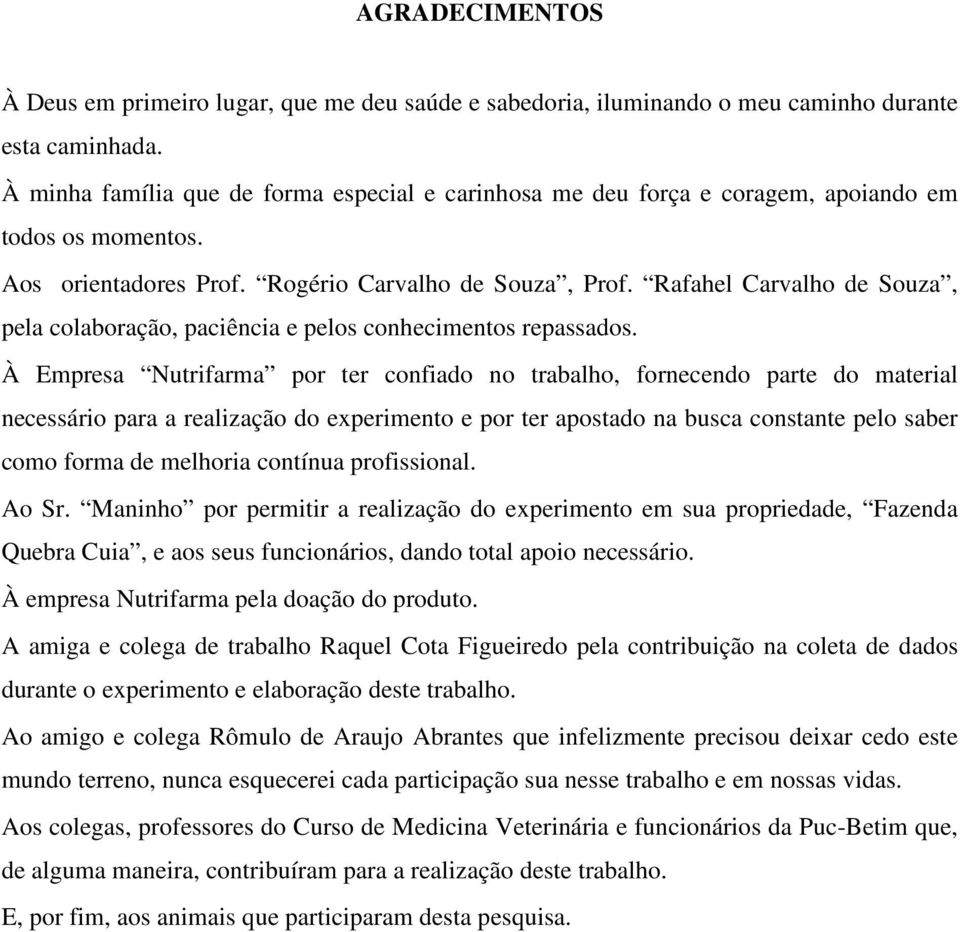 Rafahel Carvalho de Souza, pela colaboração, paciência e pelos conhecimentos repassados.